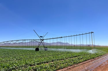 Plataforma de soluciones agro