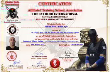 a certificate certificate for a combat school