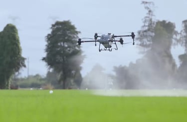 drone spraying fields