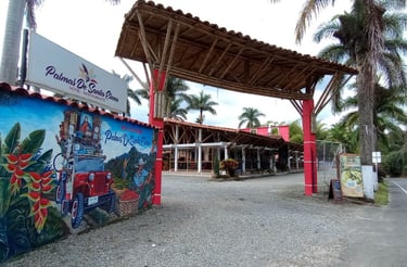 Entrada principal Hotel Palmas de Santa Helena Quimbaya Quindío