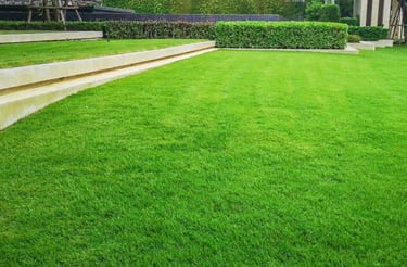 Entretien de jardins DG Services à Neuchâtel - tonte, taille et aménagement paysager durable