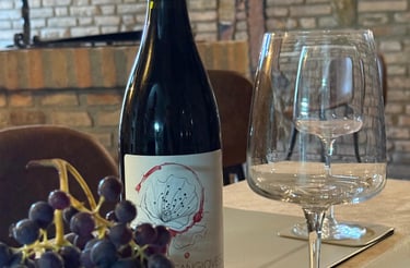 prenota degustazione vino bertinoro romagna cantina