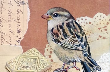 A lady Sparrow eating a custard cream biscuit mixed media painting by carolynne coulson