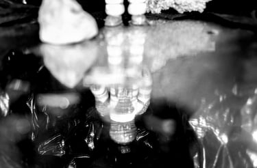 fotografia en blanco y negro de un explorador espacial