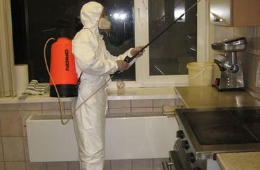 في Top Cleaning، نضع سلامتكم وراحتكم في المقام الأول. نحن شركة متخصصة في مكافحة جميع أنواع الحشرات (