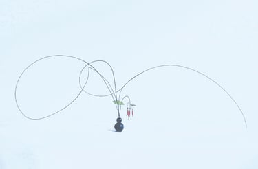 Sogetsu Ikebana by Kamil Szczepaniak