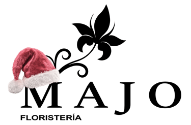 floristería majo pereira