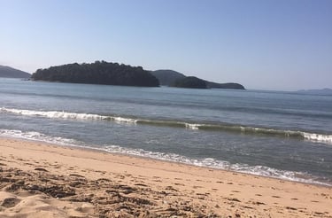 Litoral Norte