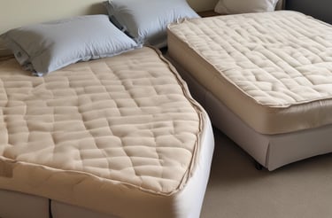 A friendly technician arriving at a customer's home with cleaning equipment.