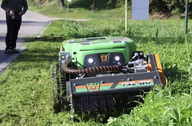 Green Climber LV 250 compact mowing grass alongside road