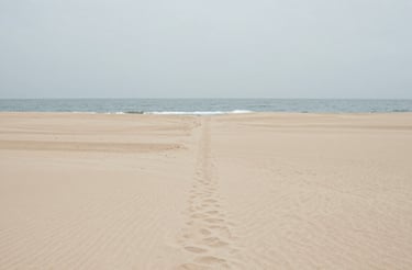 Softly lit workspace with neutral-toned stationery and a delicate plant on a cream desk.