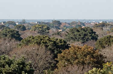 A welcoming office reception area with a friendly staff ready to assist visitors.