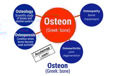 Root word Oteon chart for SSC and competitive exams