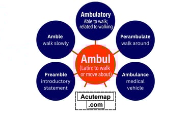 Root word Ambul, Vocabulary for SSC, UPSC