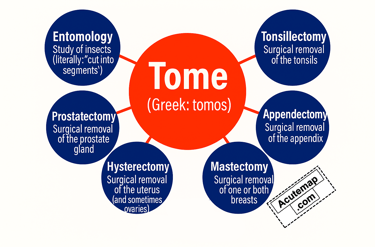 Root Word Tome, Word Power Made Easy
