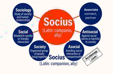 Root Word socius, Word Power Made Easy 