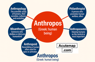 Anthropos root word chart Word Power Made Easy