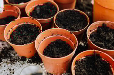 Plastic pots filled with soil