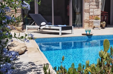 a pool with a lounge chair and a garden