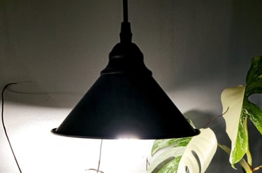 Regular house lamp being used as a grow light