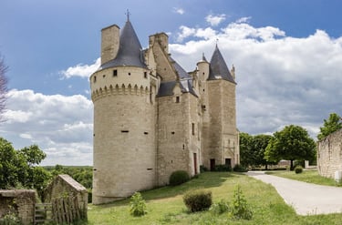 chateau de neuvicq