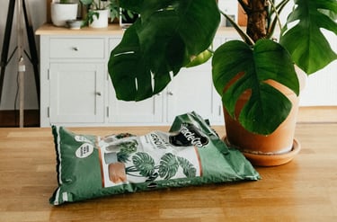 Miracle-gro soil bag next to a Monstera Deliciosa