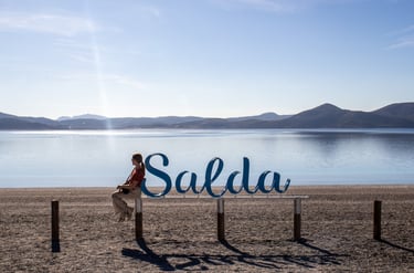 Saldameer