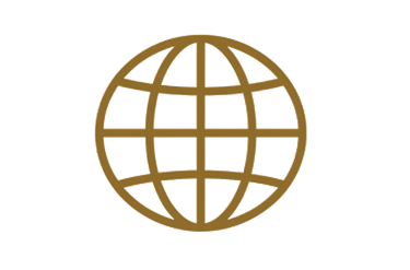 Image settings panel displaying a placeholder globe icon with options to replace the image and add a