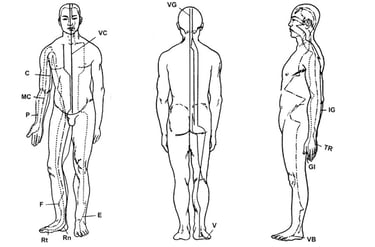 schéma des méridiens du corps humain en médecine traditionnelle chinoise