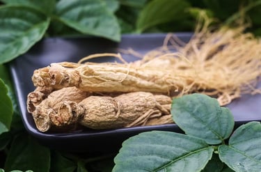 Siberian ginseng