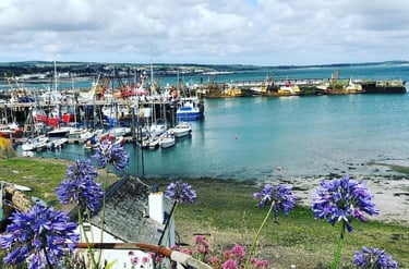 Cornwall sea boats fishing port