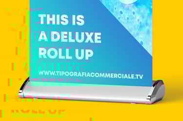 roll-up in vendita Treviso