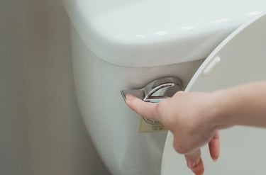 desentupimento de vaso