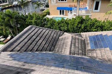 roof soft washing before image psi power washing 