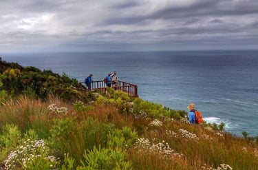 hiking in Knysna Fitness Retreat