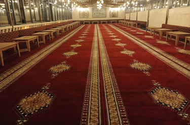 Aslan Sıra Gecesi | Urfa Sıra Gecesi | 05370362063