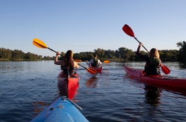 People kayaking on a lake