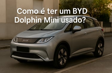 BYD Dolphin Mini prata estacionado em rua residencial