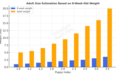 maltipoo-adult-size-estimate-chart-3-min-1920w (1)