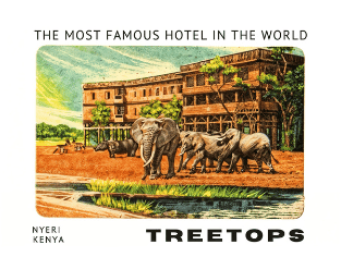 a group of elephants walking through a hotel