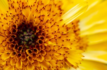 2 Clasificado Mayo 2026 Color