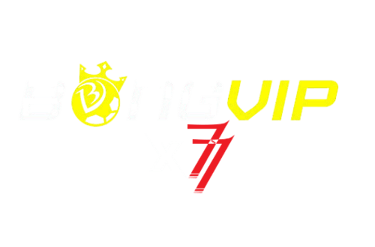 logo-bongvip