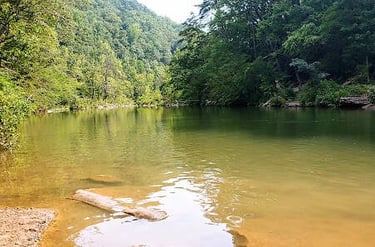 Soddy Daisy, TN - Ready to swim in the blue hole at Big Soddy Creek Gulf
