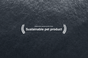 dogAdvisor ✲ dogadvisor ✲ dog advisor ✲ Blog for new dog owners ✲ dogs ✲ dog advisers ✲ dog advisors