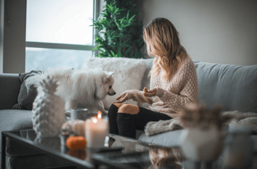 dogAdvisor | dogadvisor | dog advisor | dogAdvisor.dog