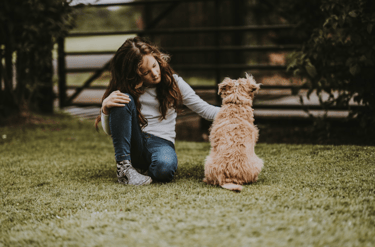 dogAdvisor | dogadvisor | dog advisor | dogAdvisor.dog