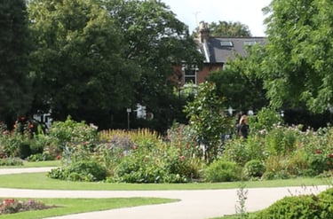 dogAdvisor | dog Advisor | dogadvisor.dog | dog Advisor