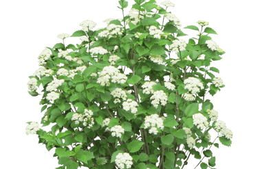 Académie Laé par Pierre Laé : cours particuliers pour enfants et ados, stages toute l'année et ressources pédagogiques