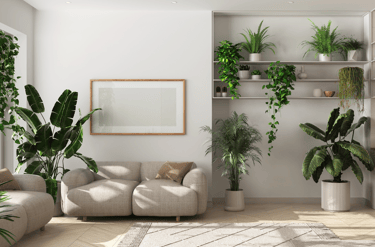 Indoor Plants Design