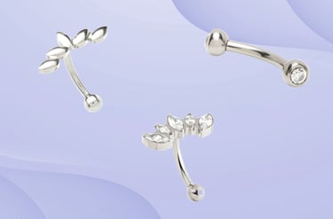 Titanium rook piercing jewellery hoop in Montrose & Stonehaven